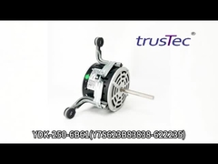 Video di test del motore Changzhou Trustec YDK-250-6B61